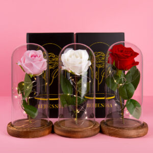 růže ve skle, dárek pro milovanou ženu matka dcera manželka sestra valentýn narozeniny květina bejessa
